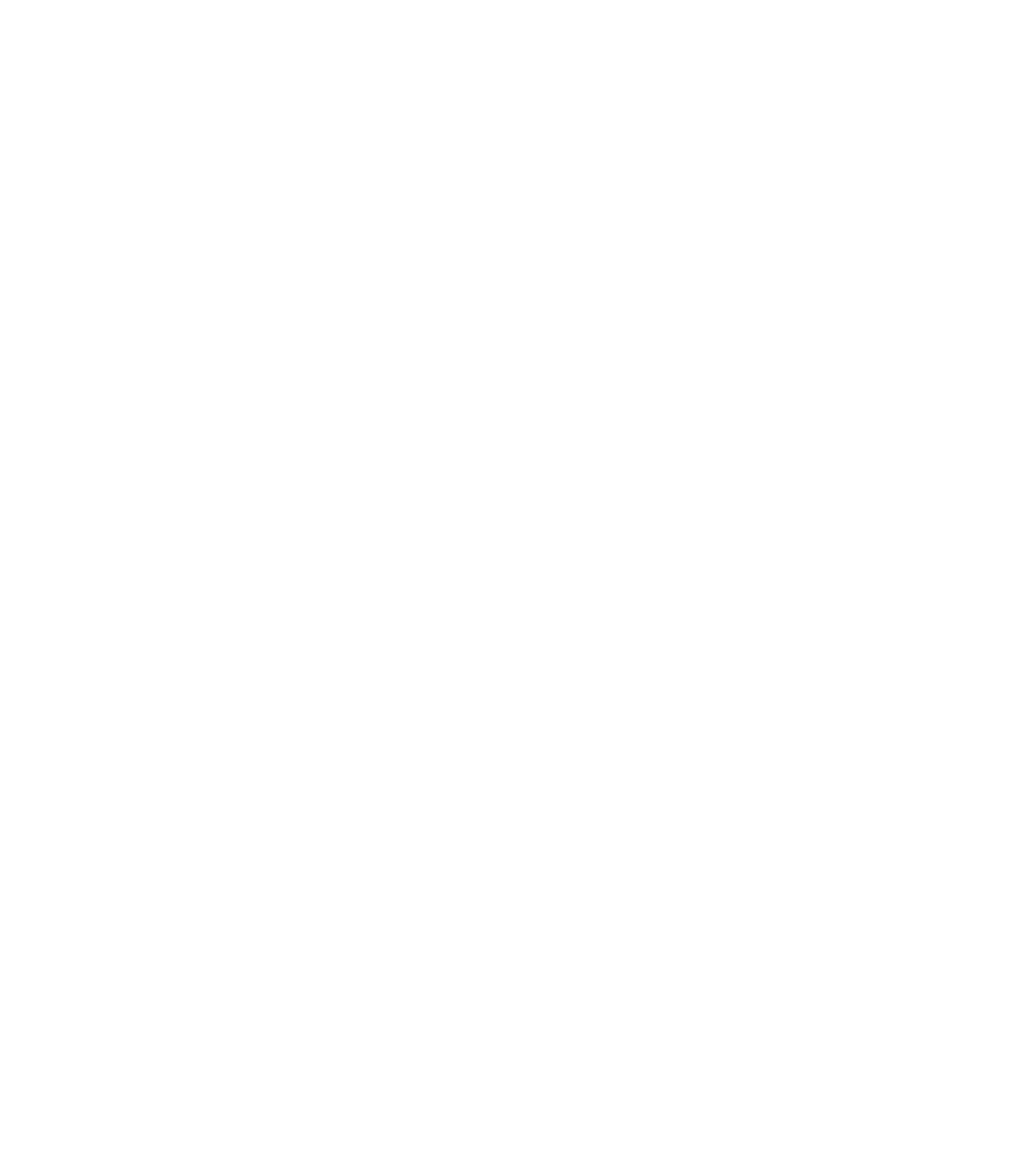 HS Security Services